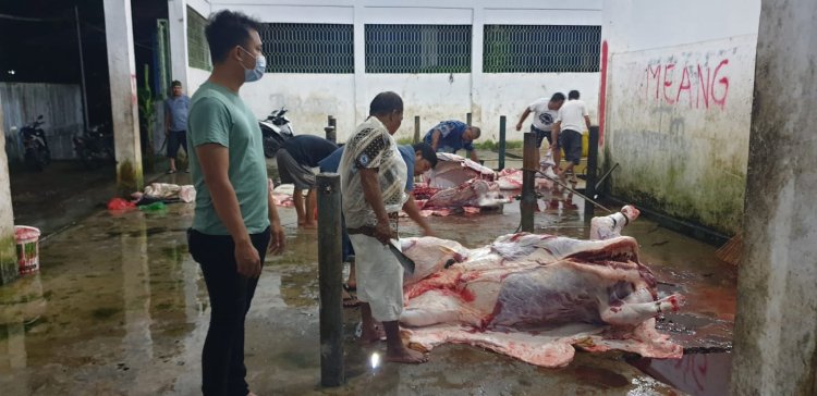 Polres Sibolga awasi dan chek pemotongan hewan kerbau dan lembu