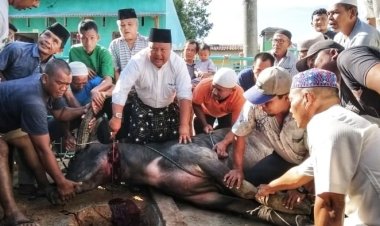 Syarfi Salurkan 21 Ekor Hewan Qurban di Sibolga dan Tapteng