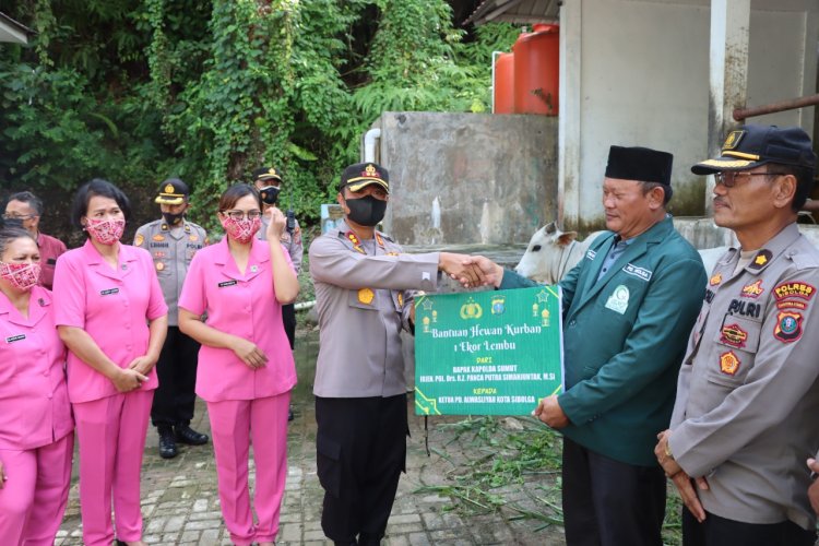 Polres Sibolga serahkan 1 ekor lembu Qurban kepada PD Alwasliyah Sibolga