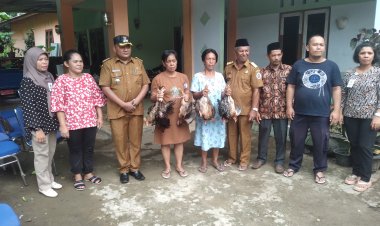Untuk Ketahanan Pangan, Pemerintah Desa Mela II Salurkan ternak Babi, Ayam dan Bibit Cabe